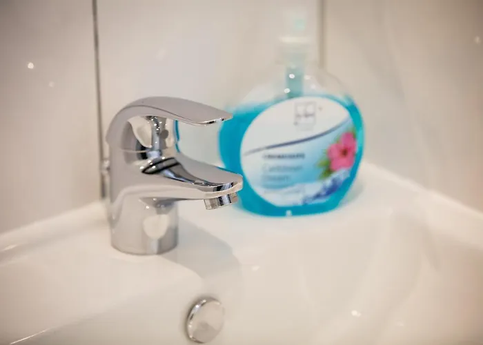 Schlegel 3* 巴德韦斯特科特